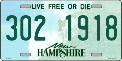NH license plate 3021918