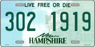 NH license plate 3021919