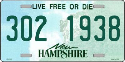 NH license plate 3021938