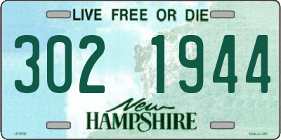 NH license plate 3021944