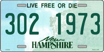 NH license plate 3021973
