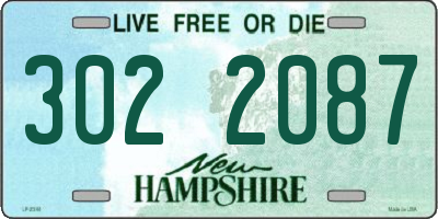 NH license plate 3022087
