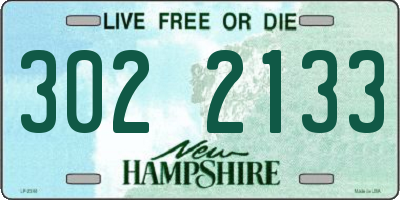 NH license plate 3022133