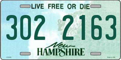 NH license plate 3022163