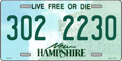 NH license plate 3022230