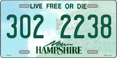 NH license plate 3022238