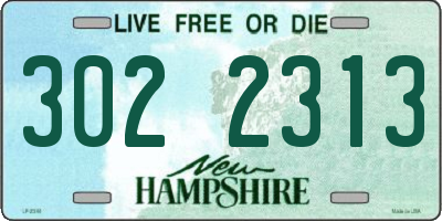 NH license plate 3022313