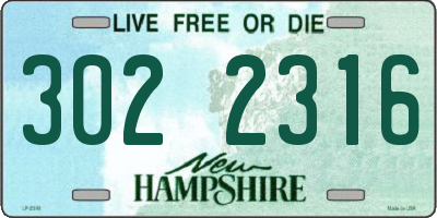 NH license plate 3022316