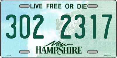 NH license plate 3022317