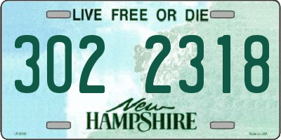 NH license plate 3022318