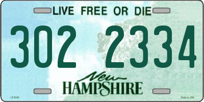 NH license plate 3022334