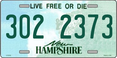 NH license plate 3022373