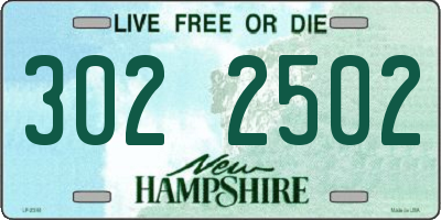 NH license plate 3022502