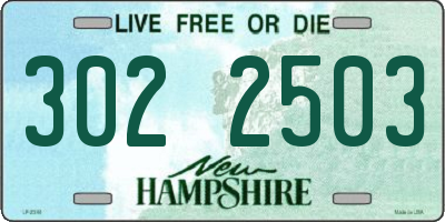 NH license plate 3022503