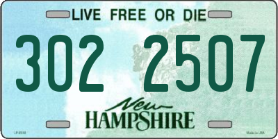 NH license plate 3022507