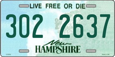 NH license plate 3022637