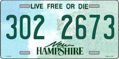 NH license plate 3022673