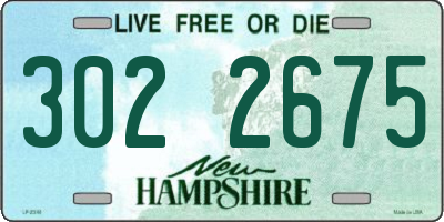 NH license plate 3022675