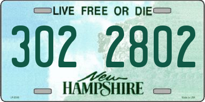 NH license plate 3022802