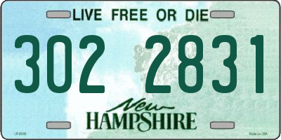 NH license plate 3022831
