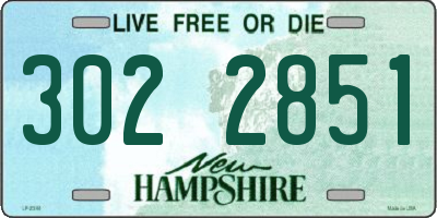 NH license plate 3022851