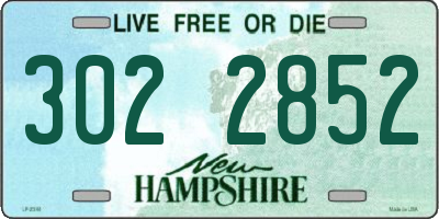 NH license plate 3022852