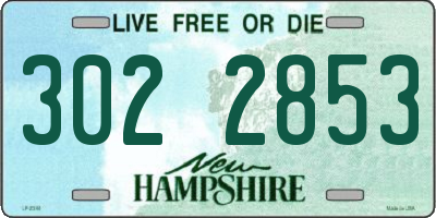 NH license plate 3022853