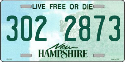 NH license plate 3022873
