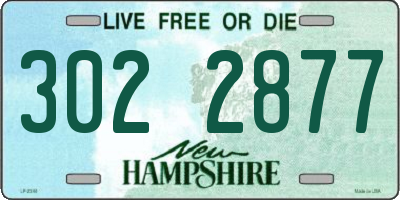 NH license plate 3022877