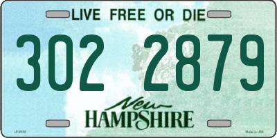 NH license plate 3022879