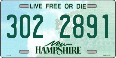 NH license plate 3022891