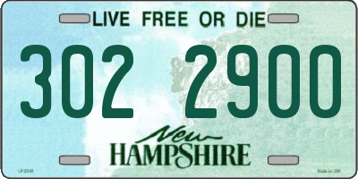 NH license plate 3022900