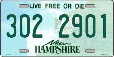 NH license plate 3022901