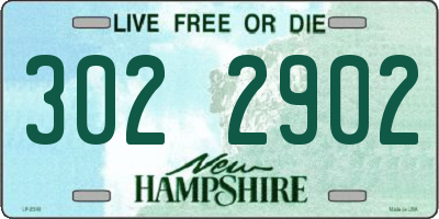 NH license plate 3022902
