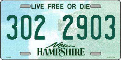 NH license plate 3022903