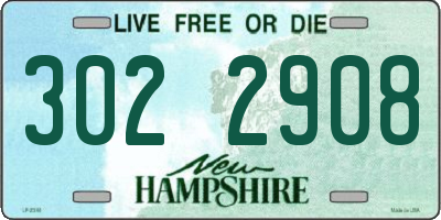 NH license plate 3022908