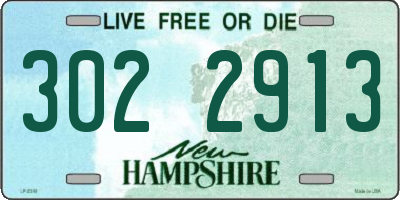 NH license plate 3022913