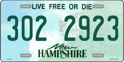 NH license plate 3022923