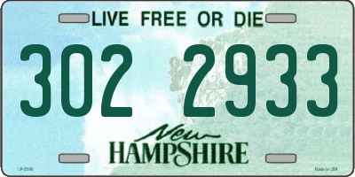 NH license plate 3022933