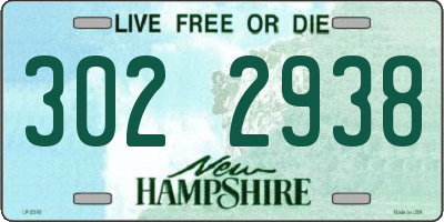 NH license plate 3022938