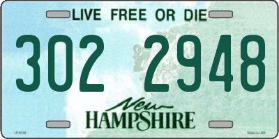 NH license plate 3022948