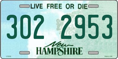 NH license plate 3022953