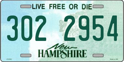 NH license plate 3022954