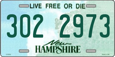 NH license plate 3022973