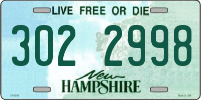 NH license plate 3022998