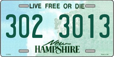 NH license plate 3023013