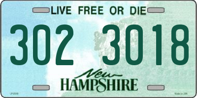 NH license plate 3023018