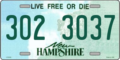NH license plate 3023037