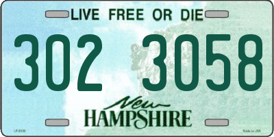 NH license plate 3023058