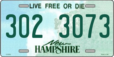NH license plate 3023073